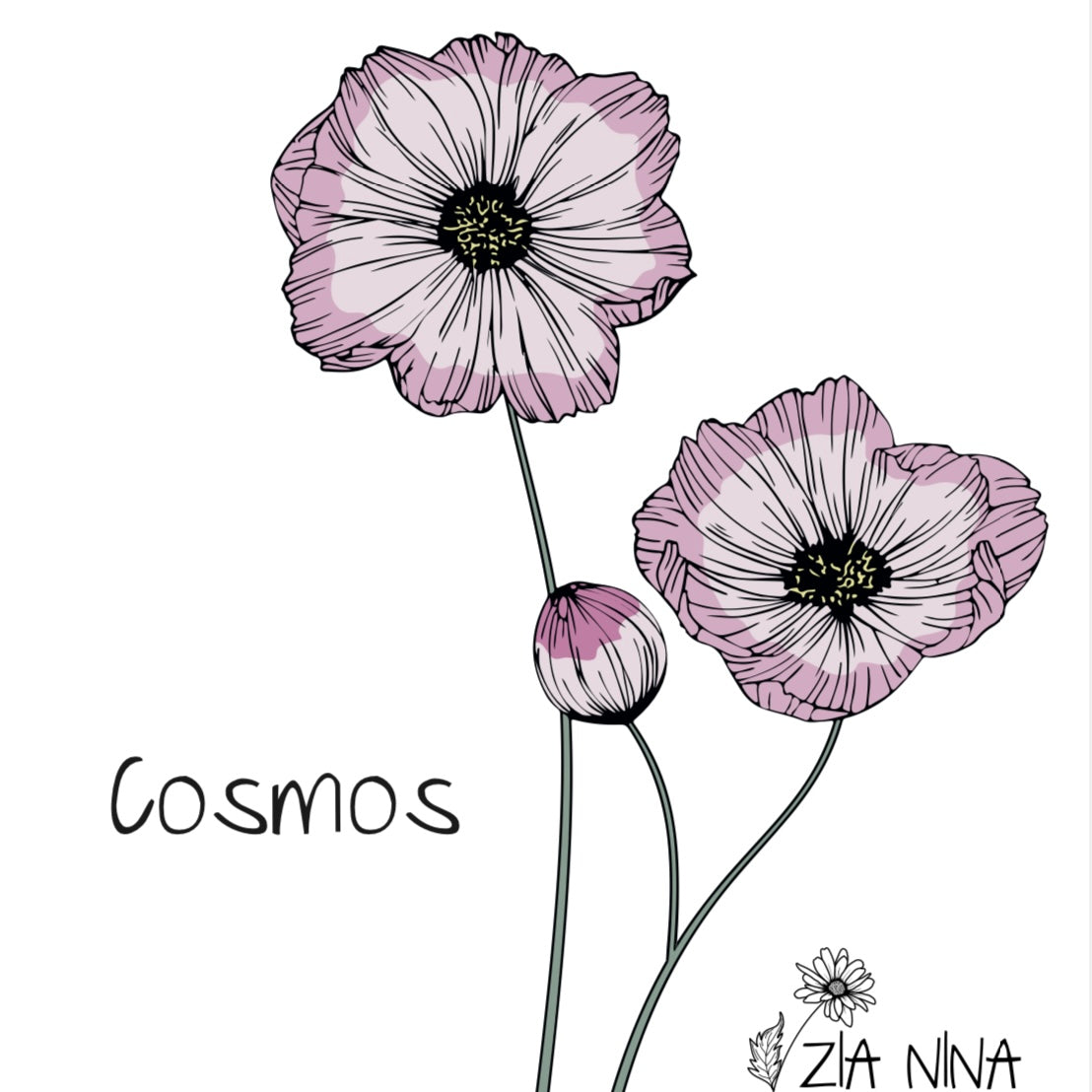 Cosmos bipinnatus Capriola