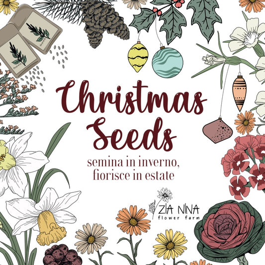 Christmas Seeds